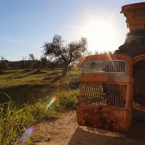  Bauernhof Agricampeggio La Piaggia -